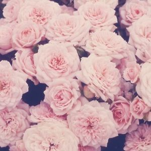 Meet your Posher, Taecia